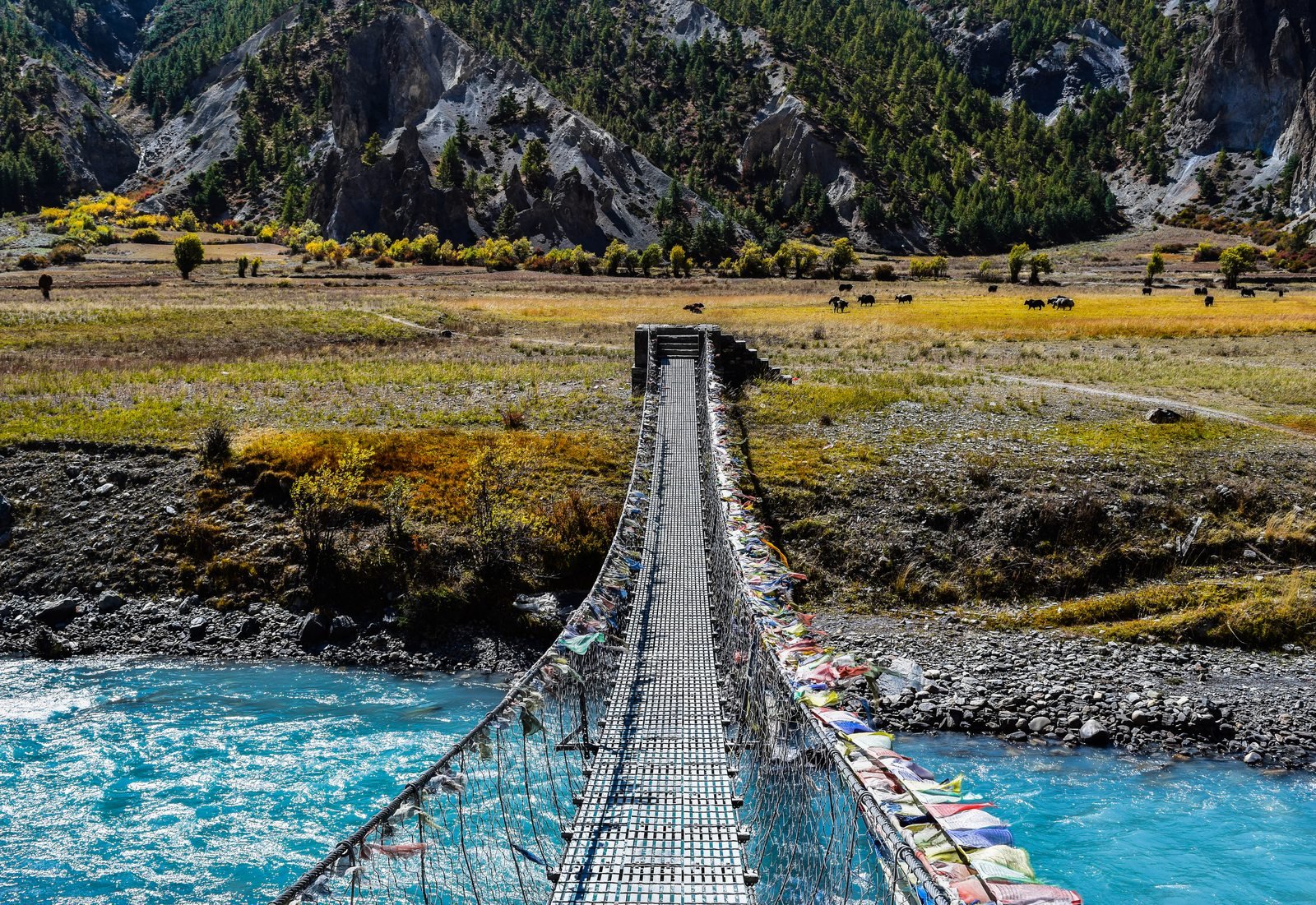 Annapurna Circuit Trek with Tilicho Lake - Photo 5