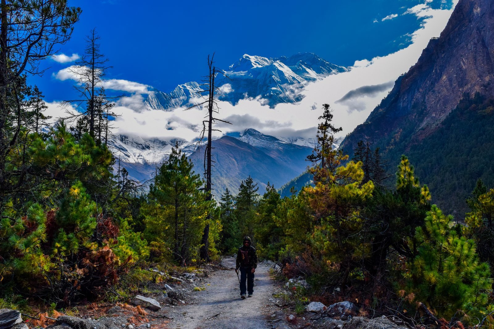Annapurna Circuit Trek with Tilicho Lake - Photo 6