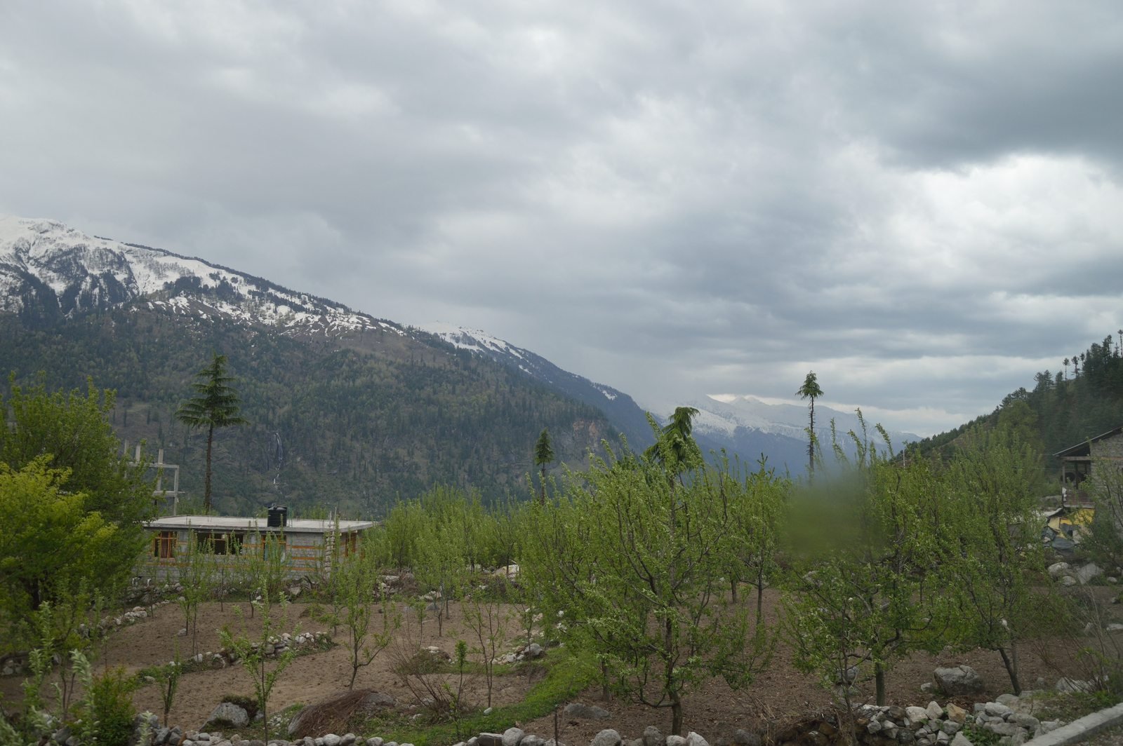 Beas Kund Trek - Photo 8