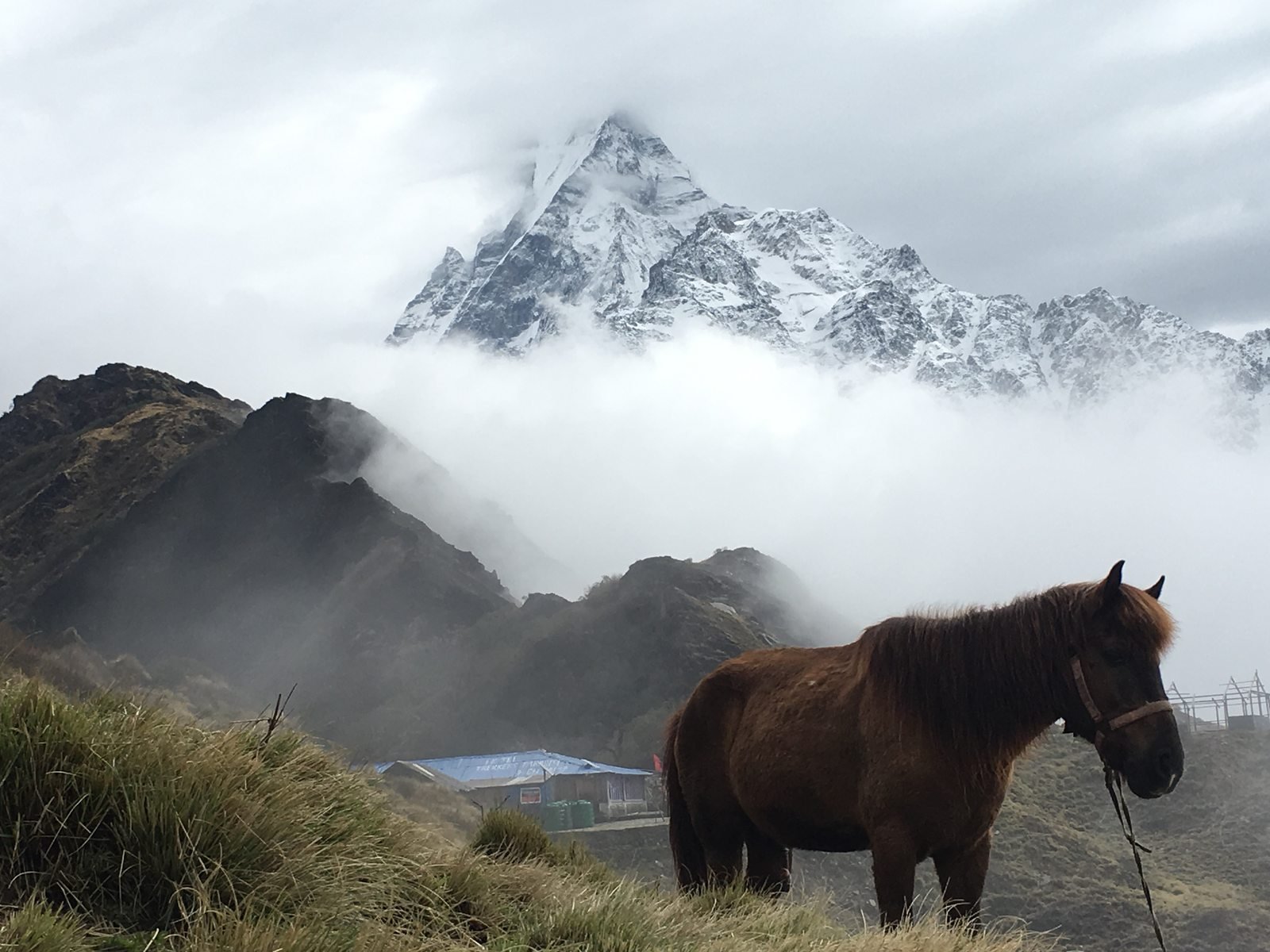 Mardi Himal Trek - Photo 2