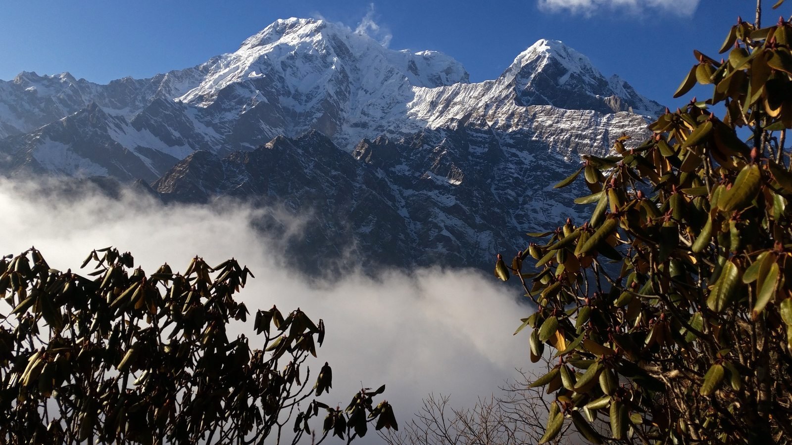 Mardi Himal Trek - Photo 4