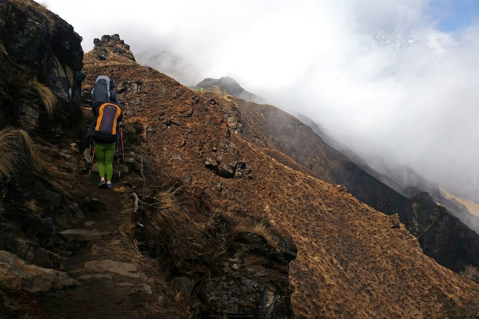 Mardi Himal Trek - Photo 5