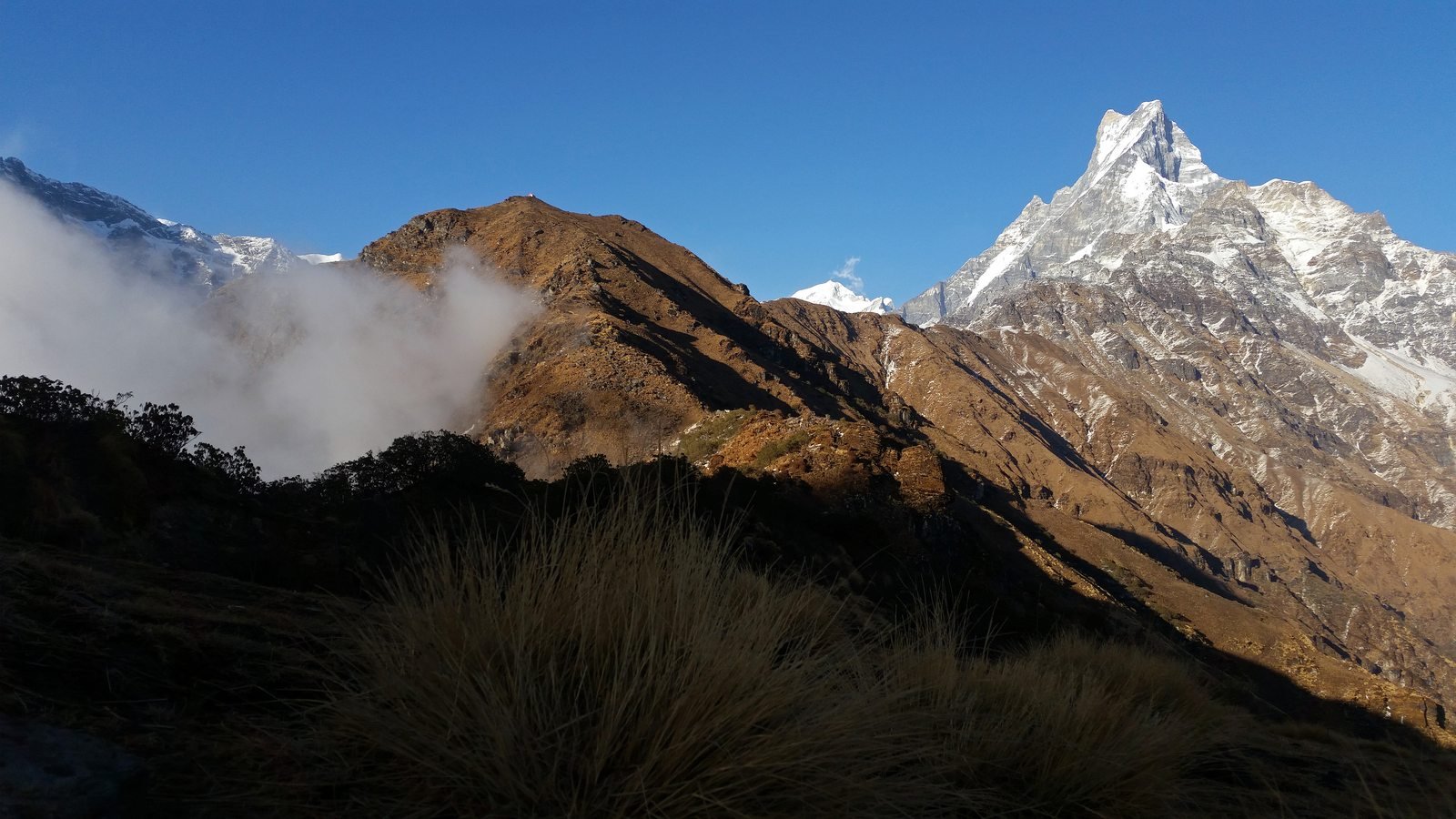 Mardi Himal Trek - Photo 7