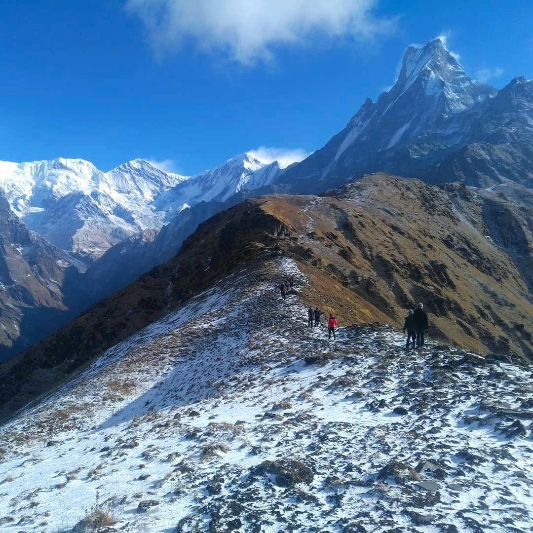 Mardi Himal Trek - Photo 8