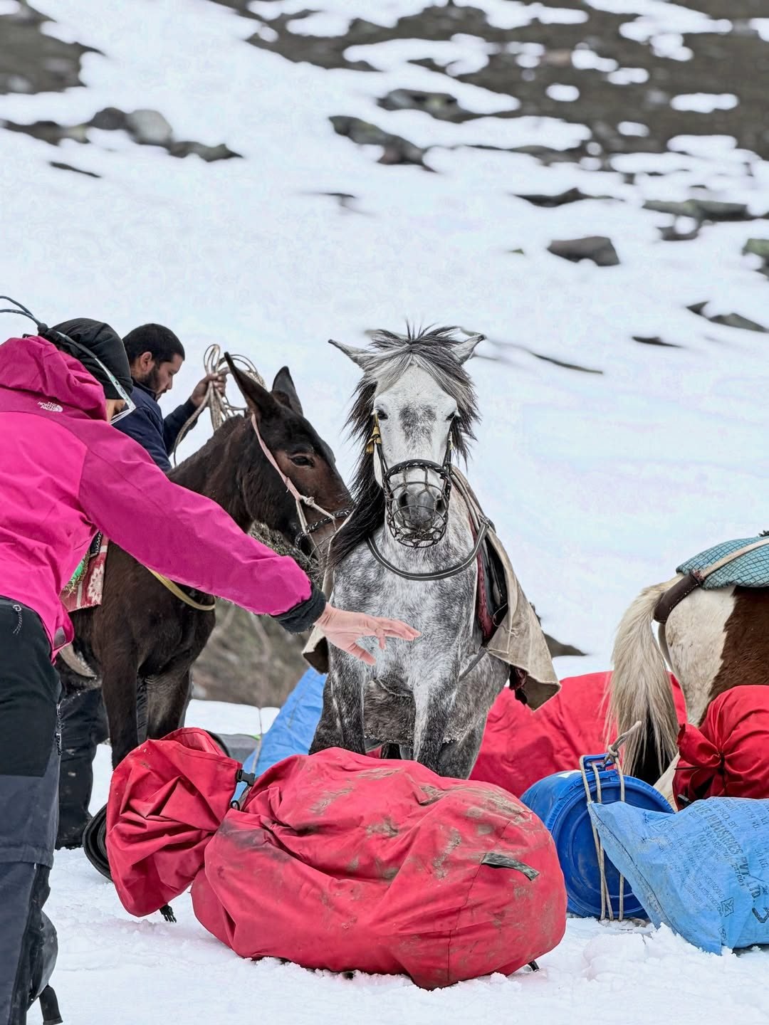 Roped-Up Mountaineers Navigating Snow Arete